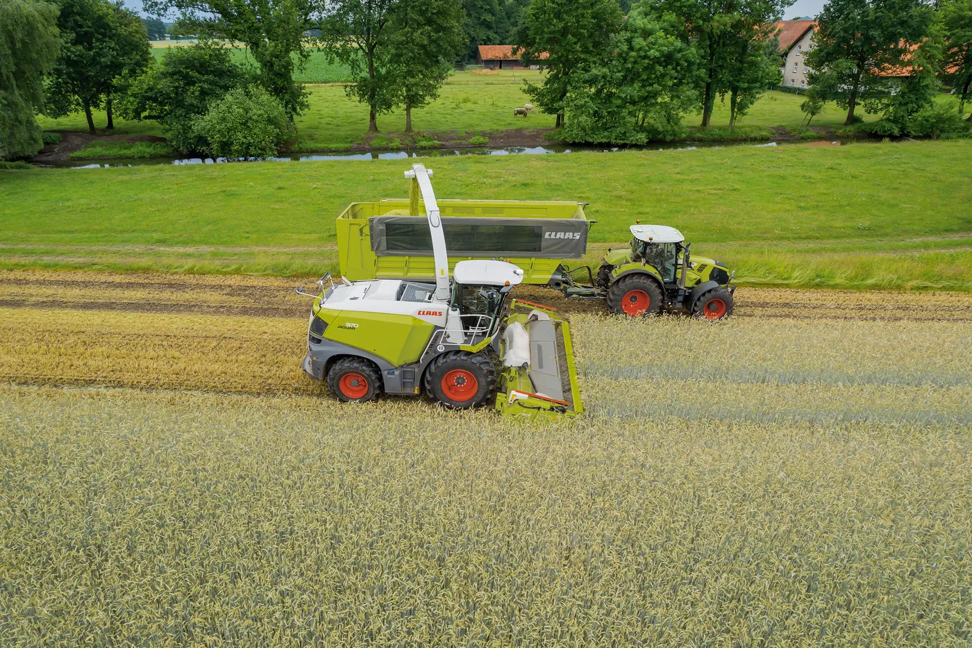 DIRECT DISC JAGUAR 900 / 800 CLAAS