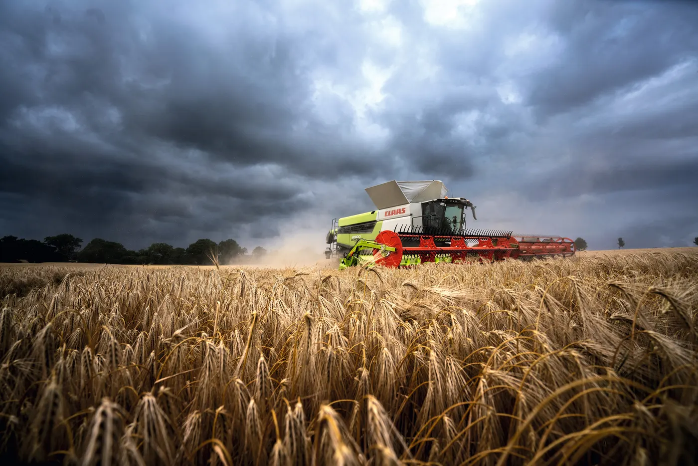 LEXION 8000 / 7000 CLAAS