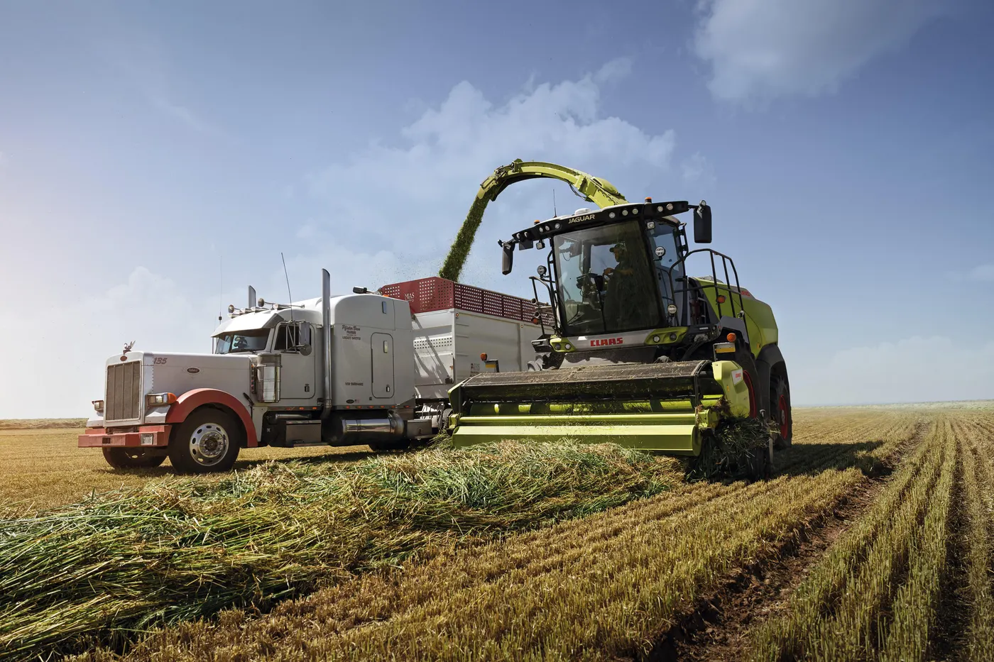 PICK UP JAGUAR 1000 CLAAS